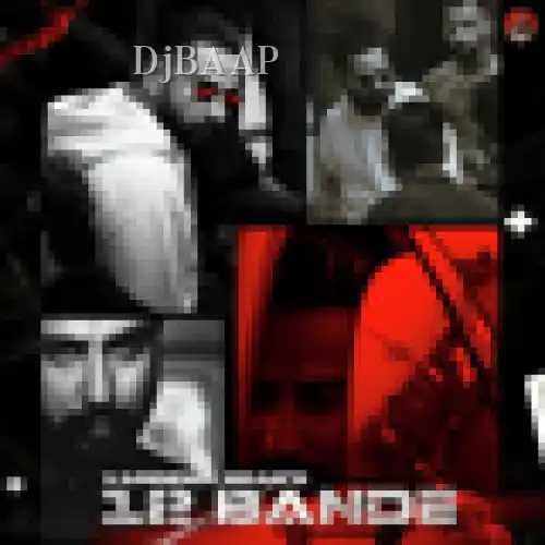 12 Bande
