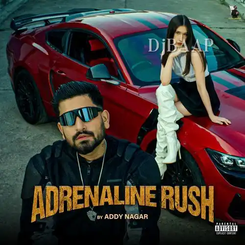Aint Nobody Gangsta album art
