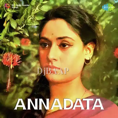 Guzar Jaye Din album art