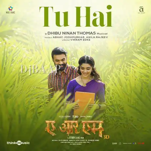 Tu Hai album art