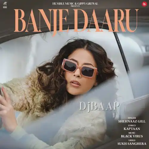 Banje Daaru album art