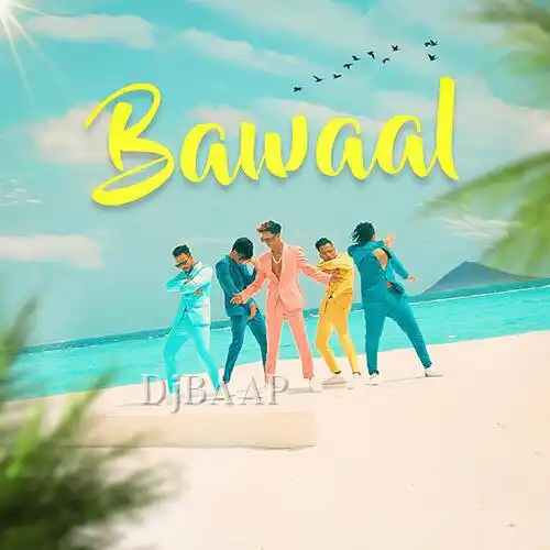 Bawaal album art