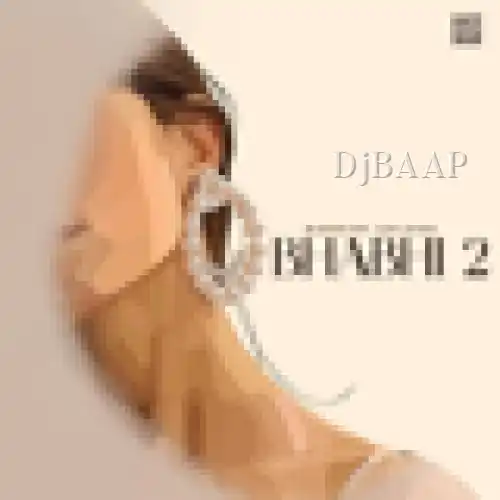 Bhabhi 2 album art