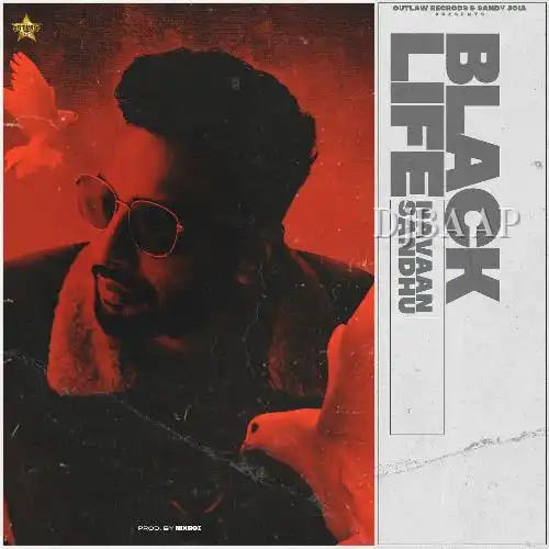 Black Life