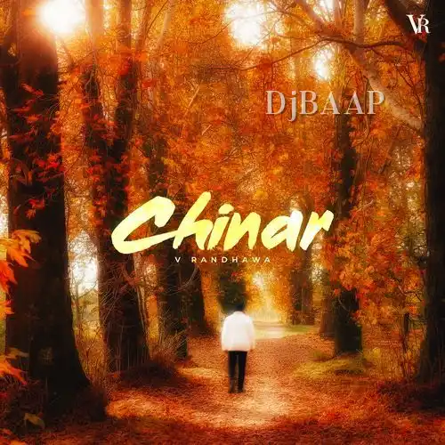 Chinar album art