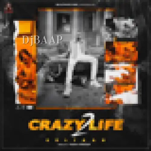 Crazy Life 2