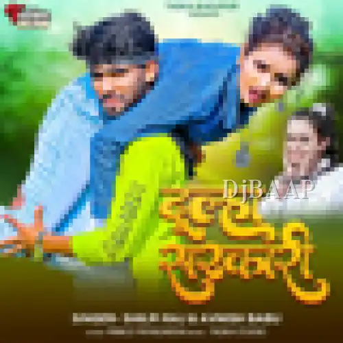 Dhulha Sarkari album art