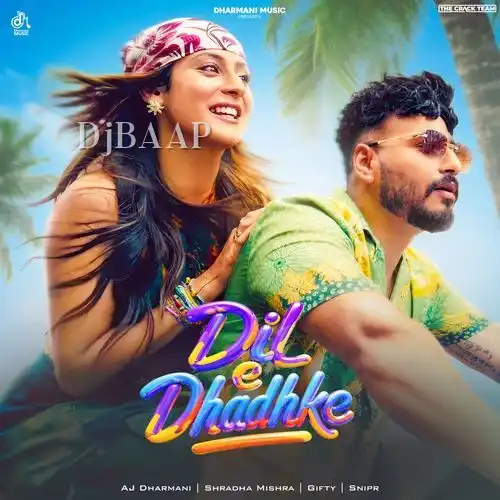 Dil E Dhadhke album art