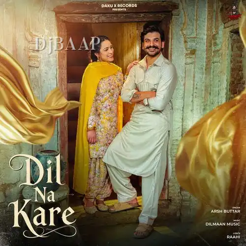 Dil Na Kare album art