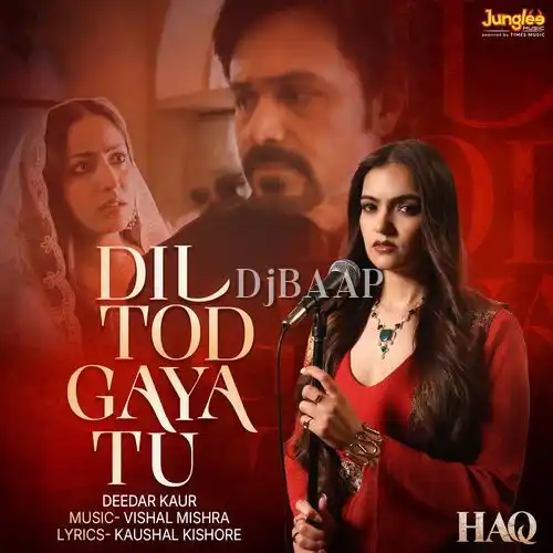 Dil Tod Gaya Tu album art
