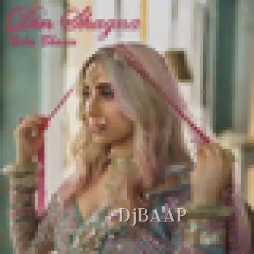 Din Shagna album art
