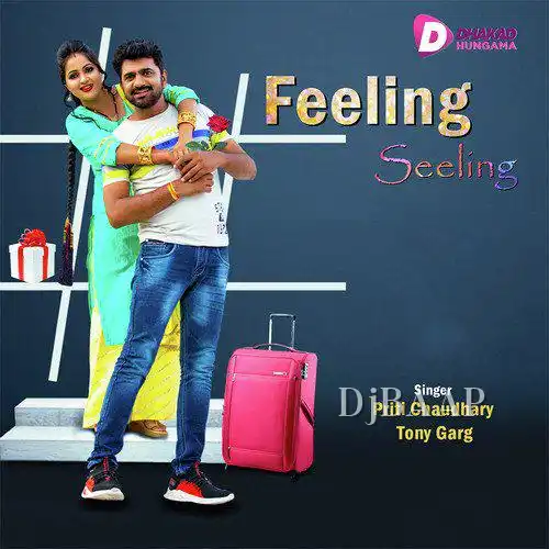 Feeling Seeling album art