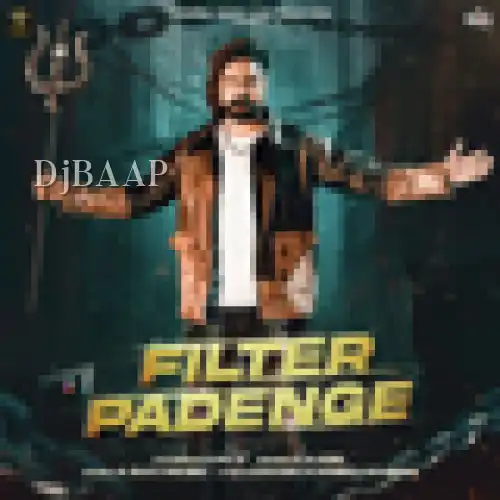Filter Padenge album art
