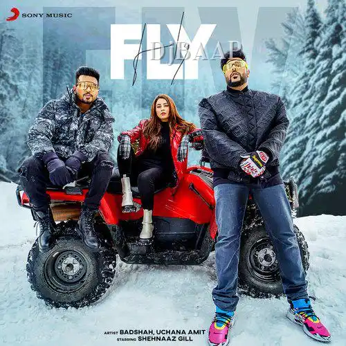 Fly