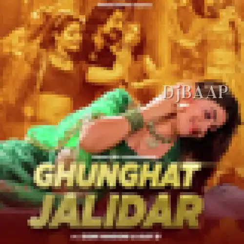 Ghunghat Jalidar