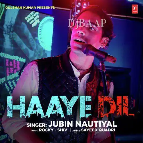 Haaye Dil