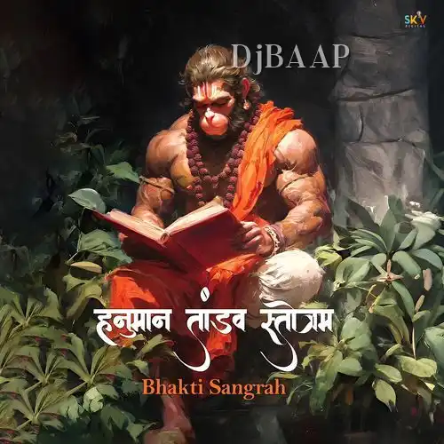 Hanuman Tandav Stotram album art