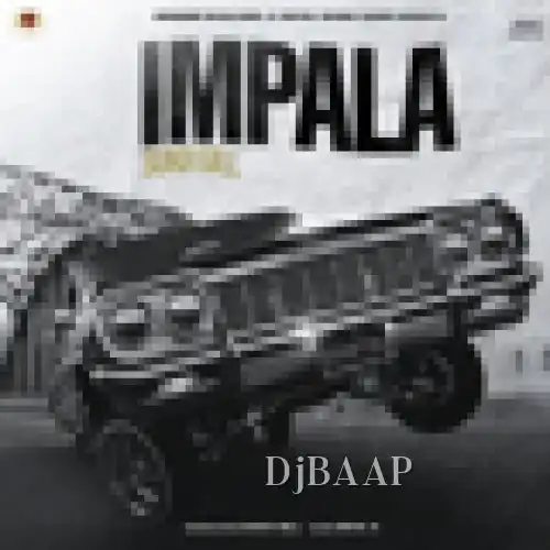 Impala album art
