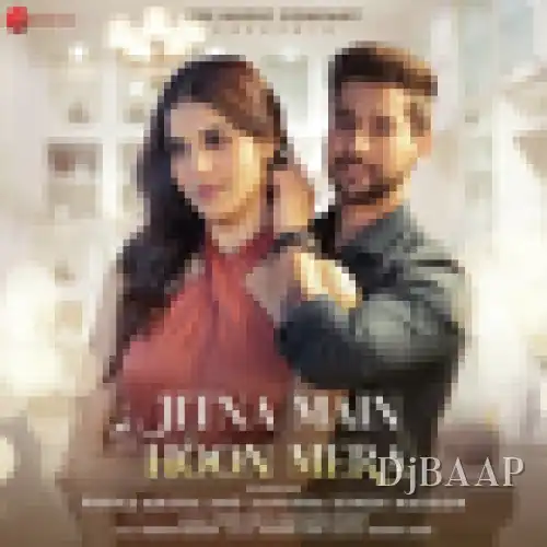 Jitna Main Hoon Mera
