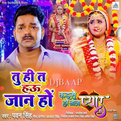 Tu Hi Tai Hau Jaan Ho album art