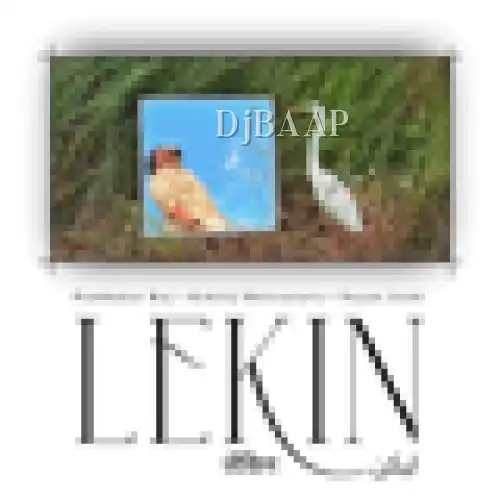 Lekin The Mirror