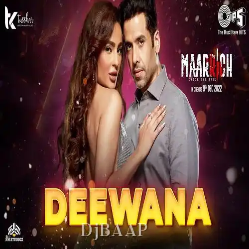 Deewana album art