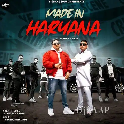 Made In Haryana - Sunny