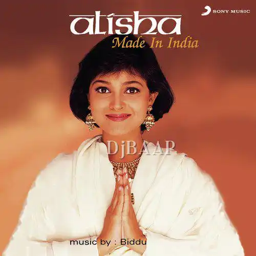 Dil album art