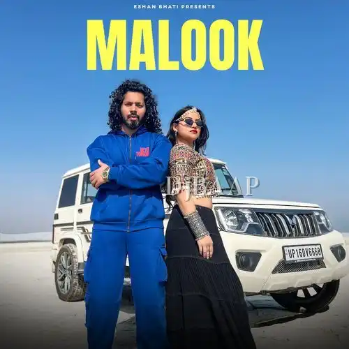 Malook album art