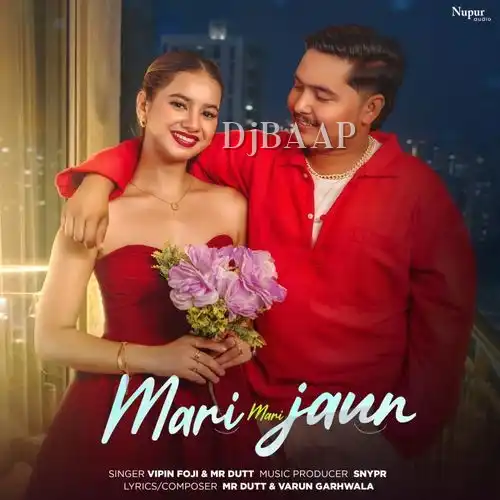 Mari Mari Jaun album art