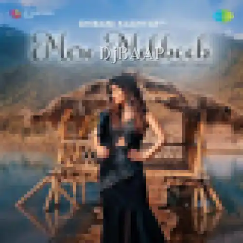 Mere Mehboob album art