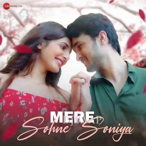 Mere Sohne Soniya album art
