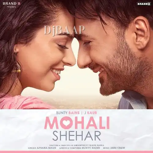 Mohali Shehar