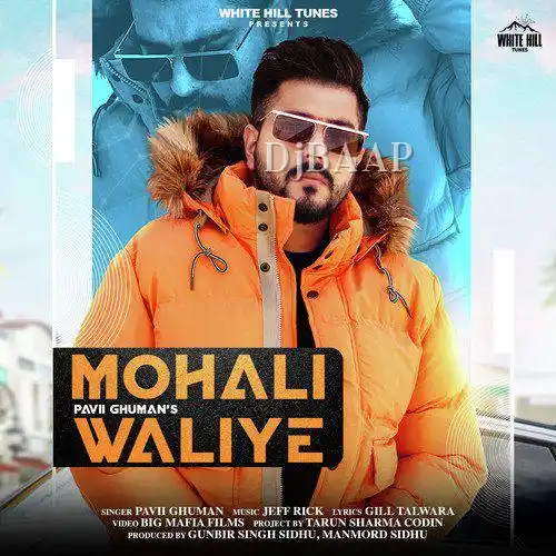 Mohali Waliye