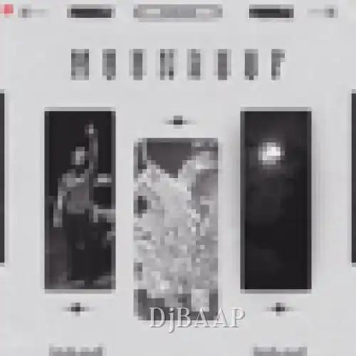 Moonroof album art