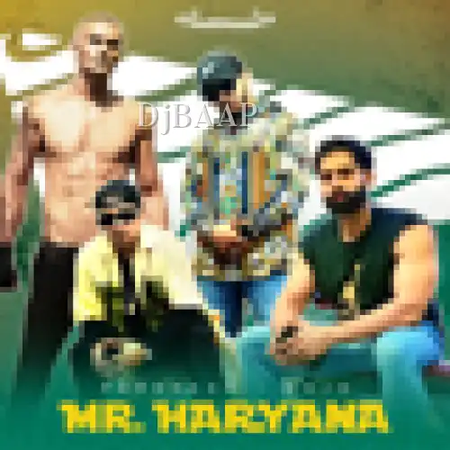 Mr. Haryana