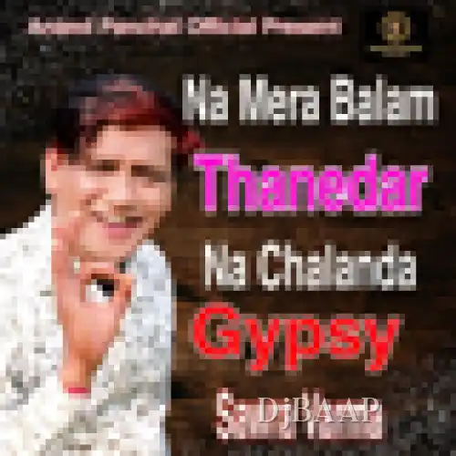 Na Mera Balam Thanedar Na Chalanda Gypsy album art