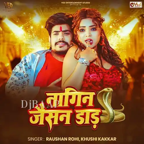 Nagin Jaisan Daar