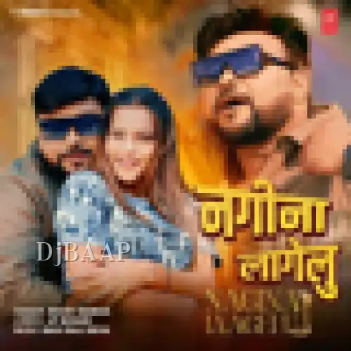 Nagina Laagelu