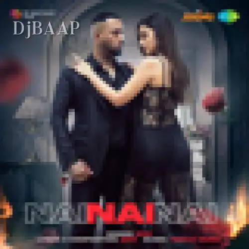 Nai Nai Nai album art