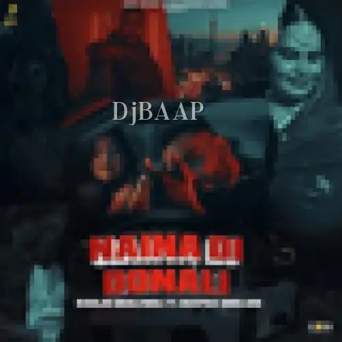 Naina Di Donali album art