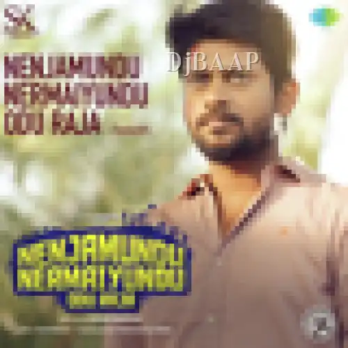 Nenjamundu Nermaiyundu Odu Raja Rebirth