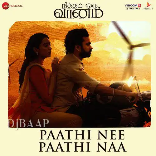 Paathi Nee Paathi Naan