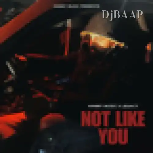 Not Like You