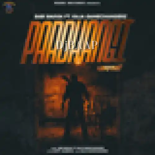 Pardhangi