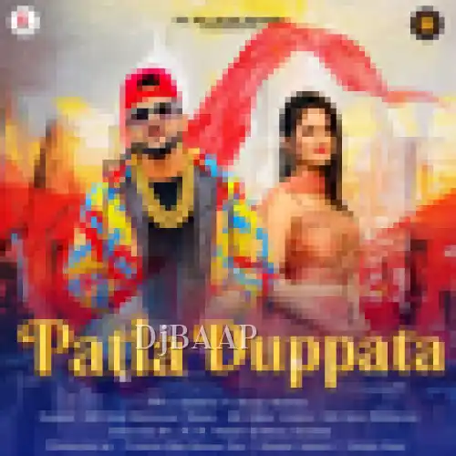 Patla Dupatta