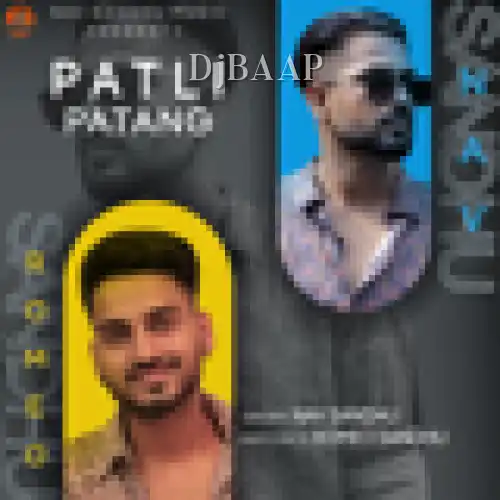 Patli Patang