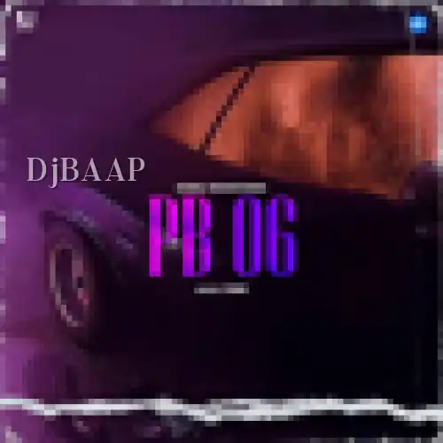 PB 06
