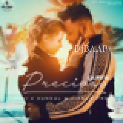 Precioso album art
