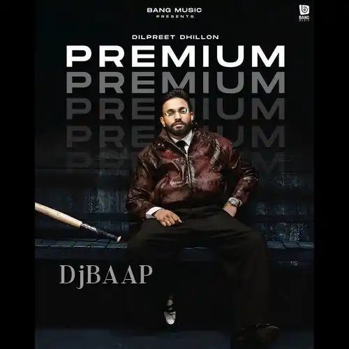Premium album art